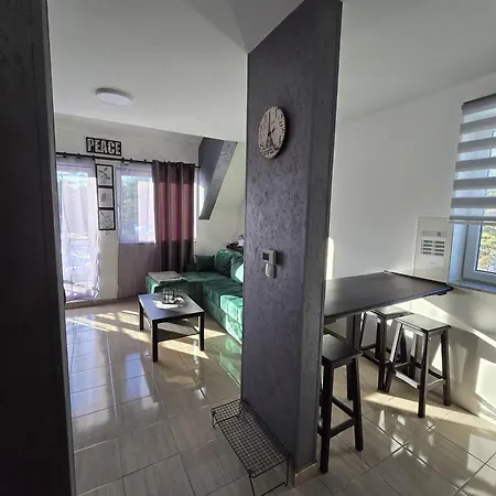 Apartment Apartman Blagojevic Divcibare